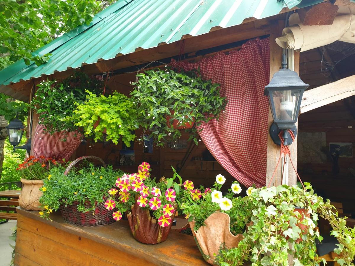 Kamp Vrbnica Hotel Pluzine Exterior photo